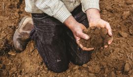 Минсельхоз изменил правила по учёту плодородия сельхозземель